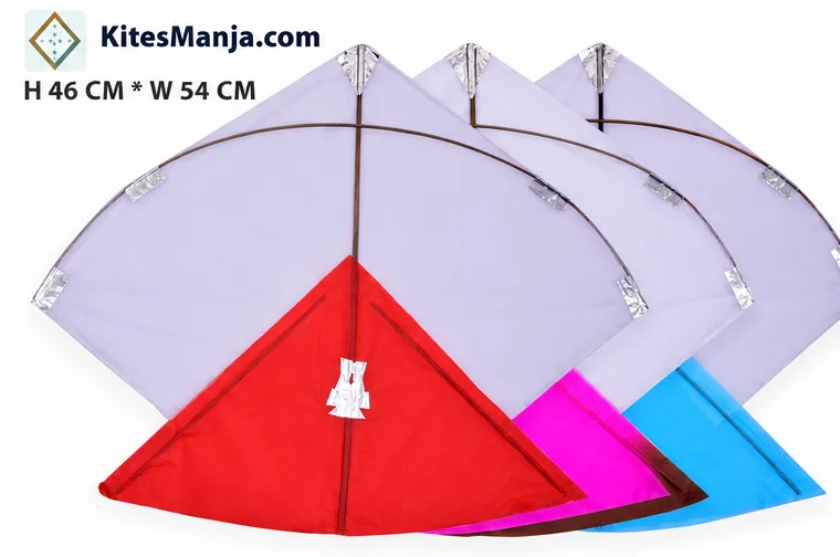 40 Indian Rajwadi Cheel Kites Khambhati Kites (Size 46*54 Centimeters) + Free Shipping